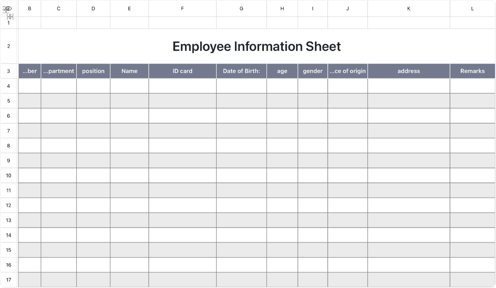 Employee Information Sheet